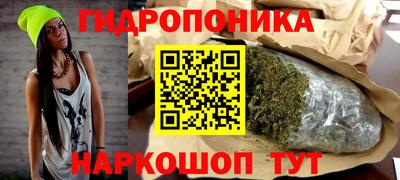 бошки Новокубанск