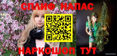 прущие грибы Обь
