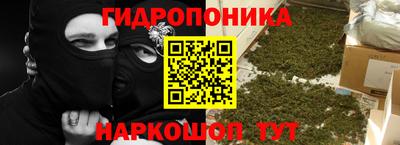 прущие грибы Обь